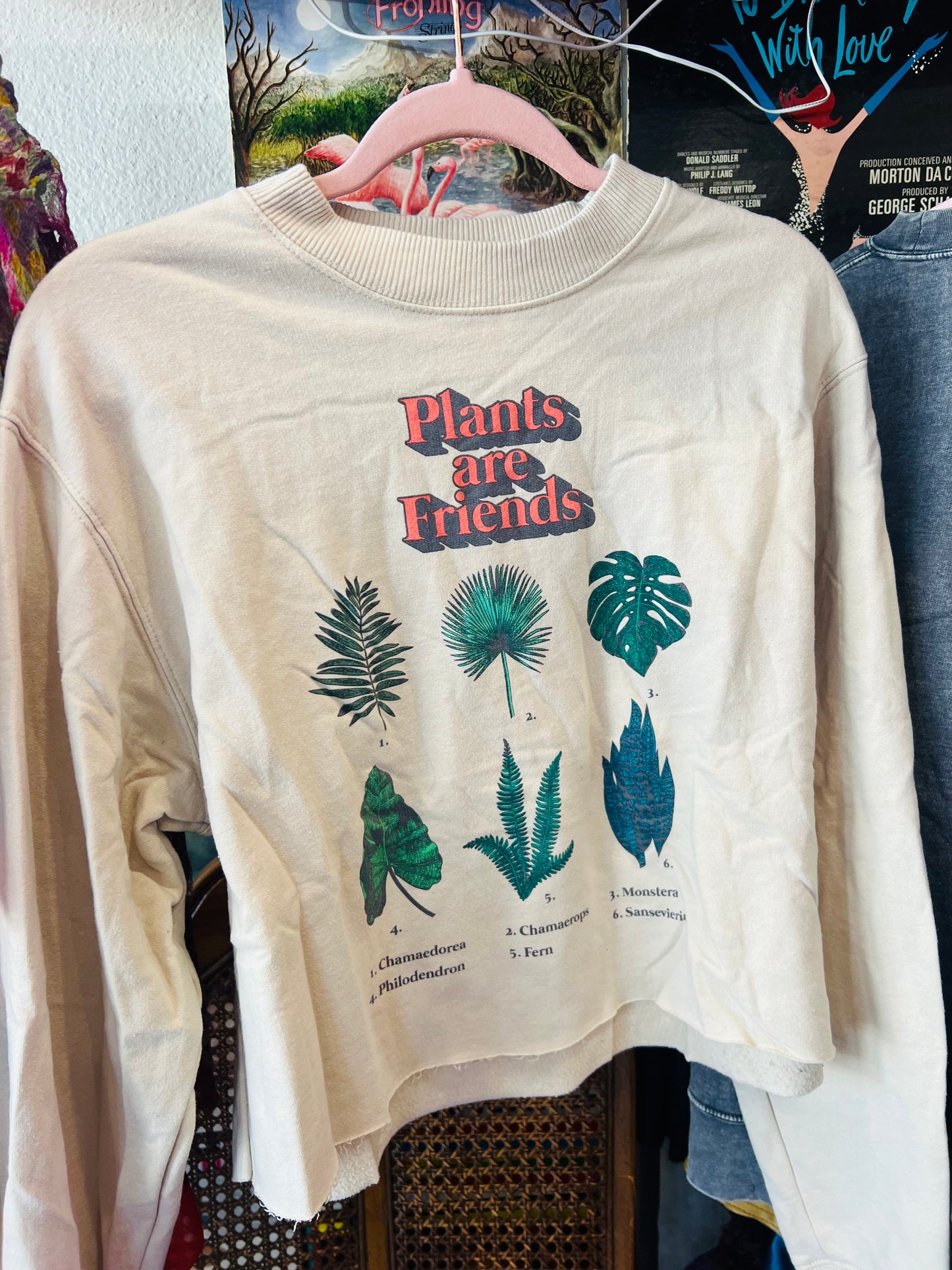 Plants Are Friends Sweatshirt (S/M)
