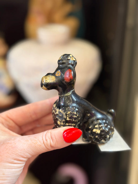 Black Poodle