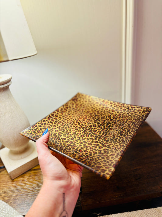 Cheetah Accent stray