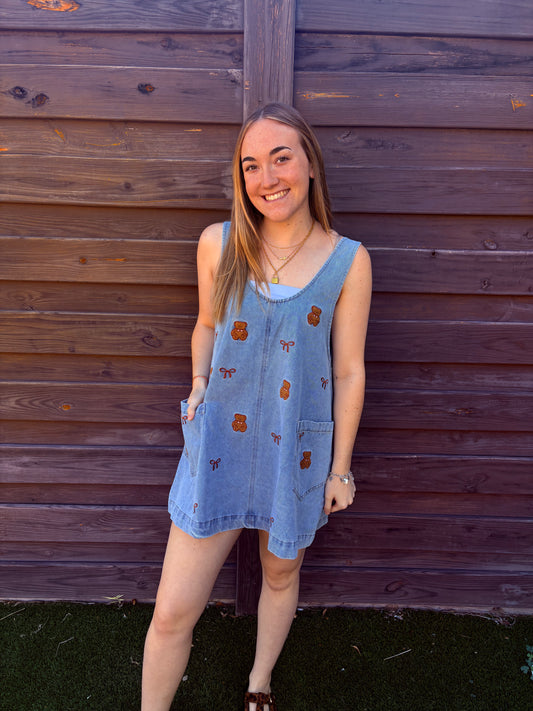 Teddy Embroidered Denim Dress