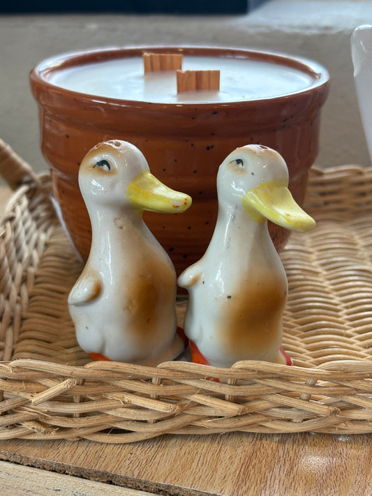 Vintage Duckling Shaker Pair