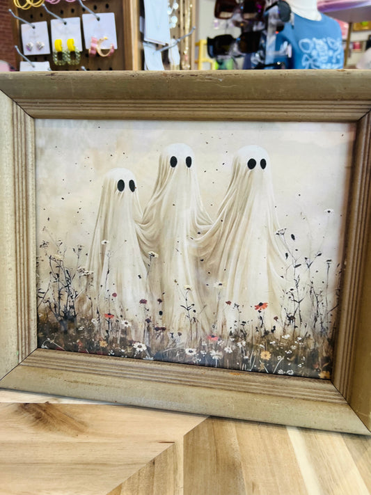 Ghosts in a Field Frame